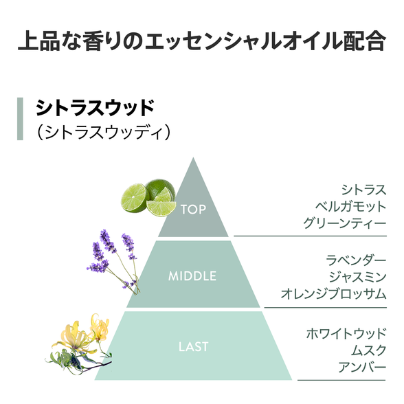 エクストラ ヘアコンディショナー （地肌ケア） 750mL：Amway