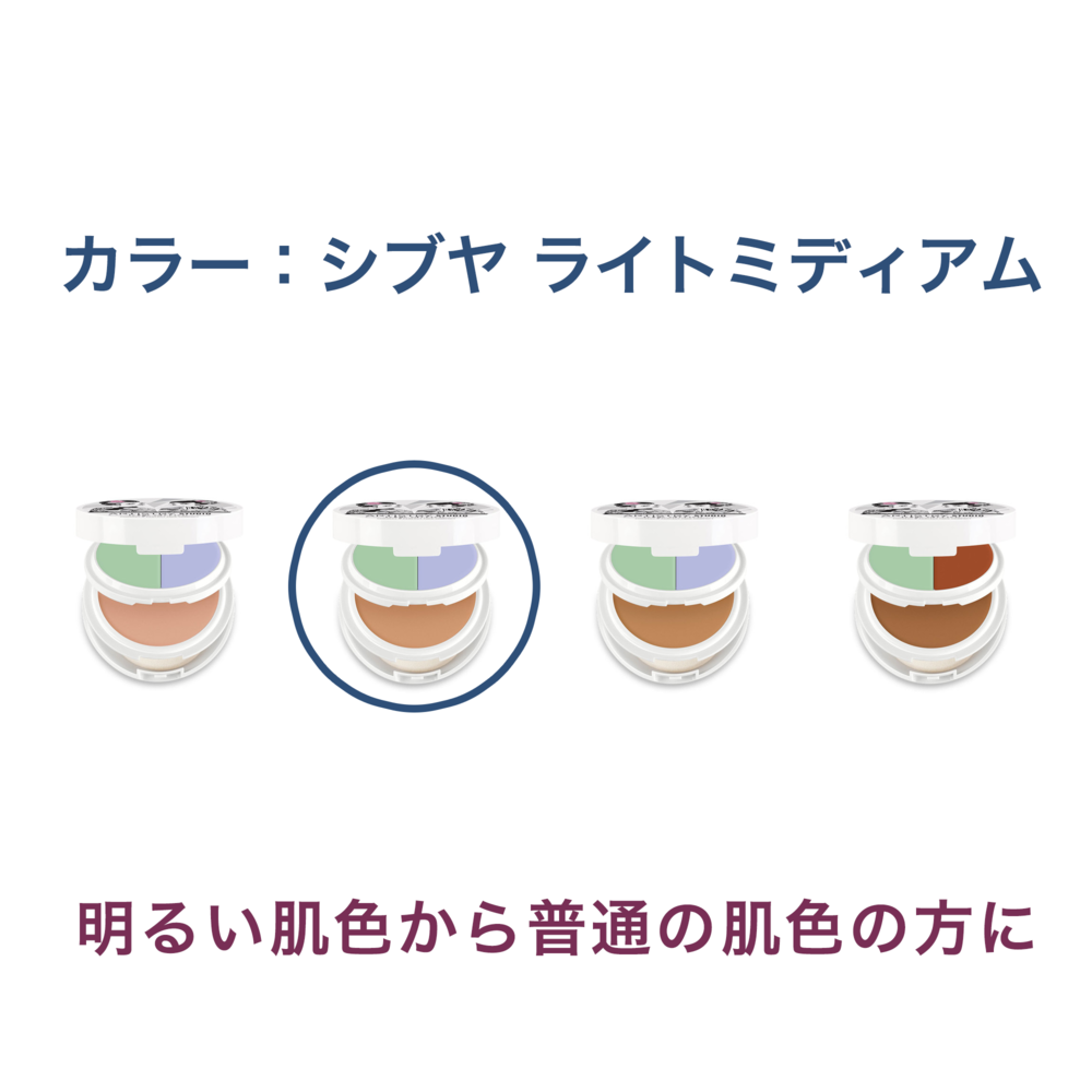 アーティストリー スタジオ 東京 エディション コレクト パーフェクト フェイス コンパクト カラー シブヤ ライトミディアム 製品詳細ページ Amway 日本アムウェイ
