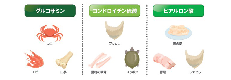 Amway アムウェイ ニュートリライト グルコサミン