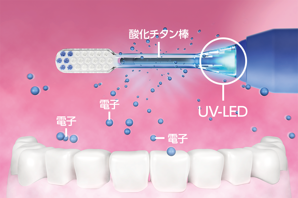 タイムレス 音波振動ハブラシ 交換用ブラシ(コンパクトヘッド)セット 定期配送付き) ：Amway(日本アムウェイ) | amwaylive
