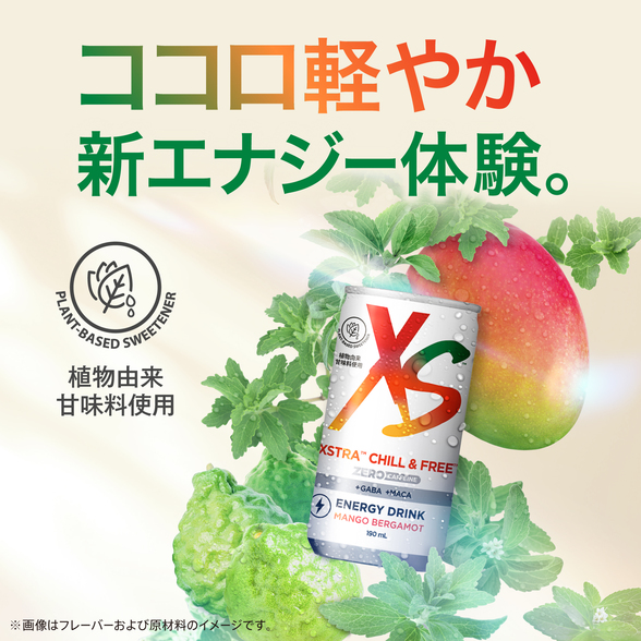 エナジードリンク エクストラ チルアンドフリー 6本) ：Amway(日本