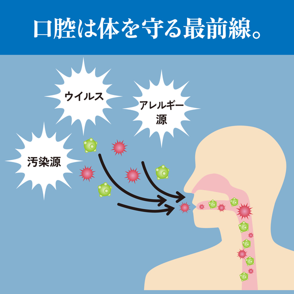 スムースロート（オニユリ＆高麗人参）：Amway(アムウェイ)Shopping