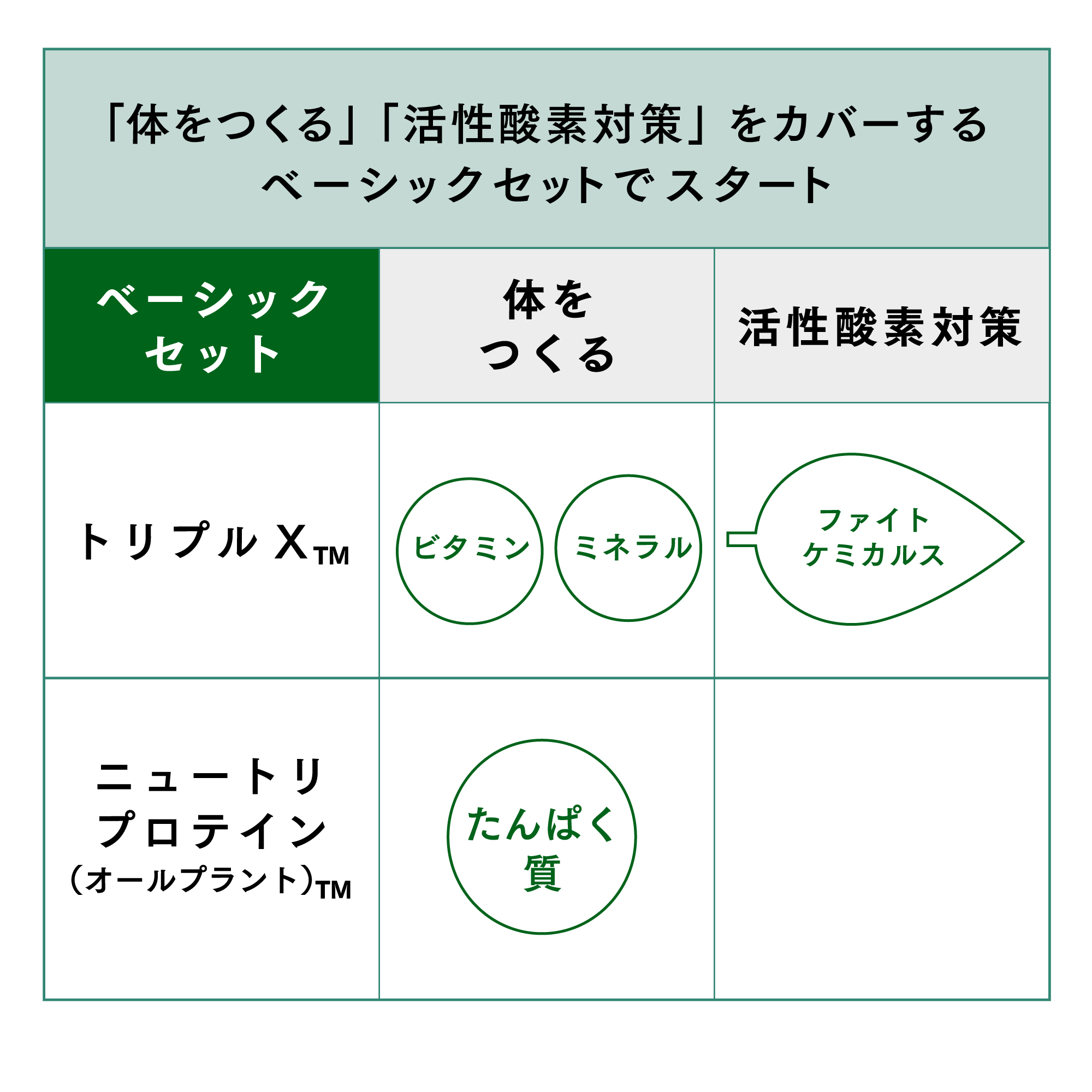 ニュートリライト ベーシックセット ベリー) ：Amway(日本