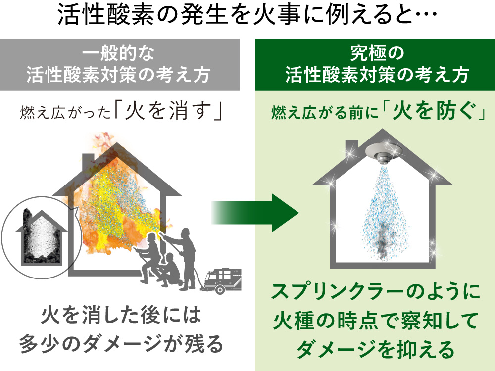 nutrilite.jpg nutrilite.jpg