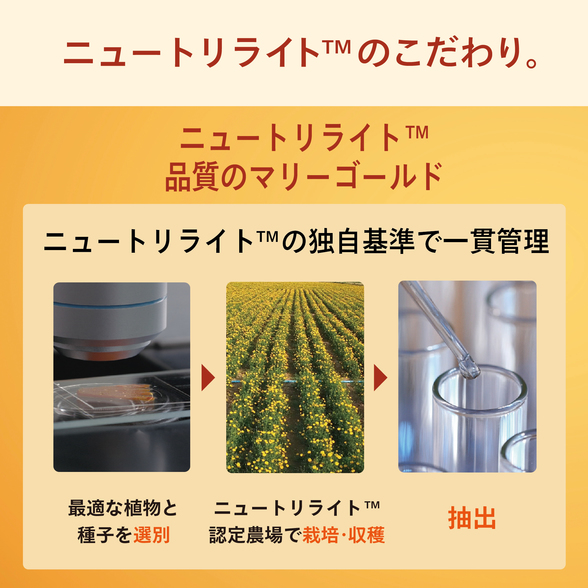 アイブレンド(サプリメント) アイ ブレンド：Amway(アムウェイ)Shopping
