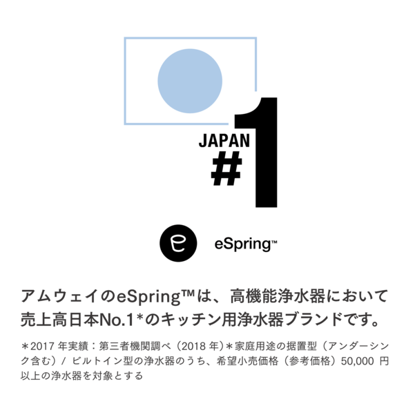 【新品未使用品】Amway アムウェイ eSpringⅡ 浄水器 2018年式