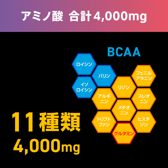 マッスルマルチプライヤー プラス ワイルドベリー：Amway(アムウェイ