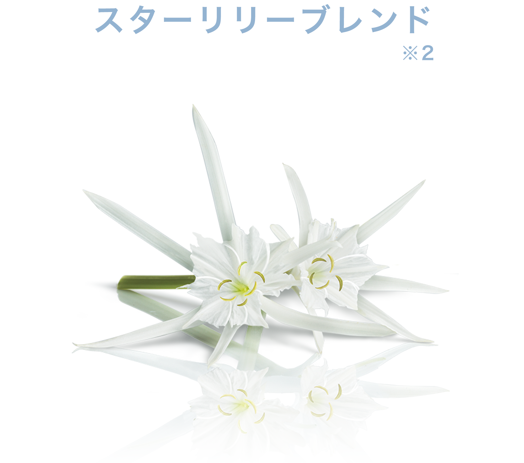 イデアル ラディアンス クレンジングフォーム) ：Amway(日本アムウェイ
