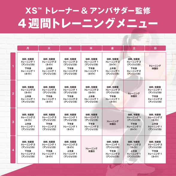 フィットネスプログラム セット 中級 ワイルドベリー ガイド付き 