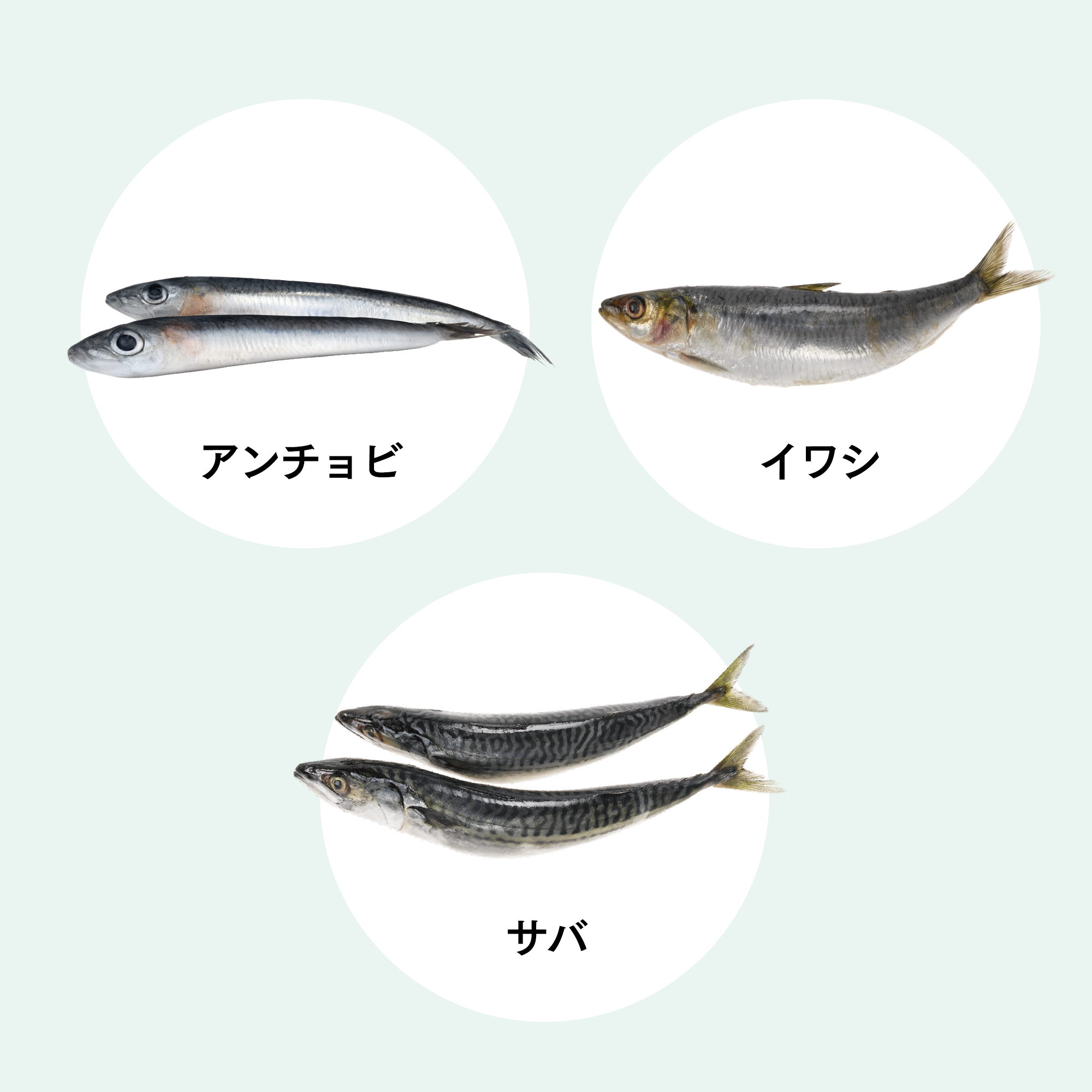 ブレイン＆ハート（DHA＆EPA）) ：Amway(日本アムウェイ