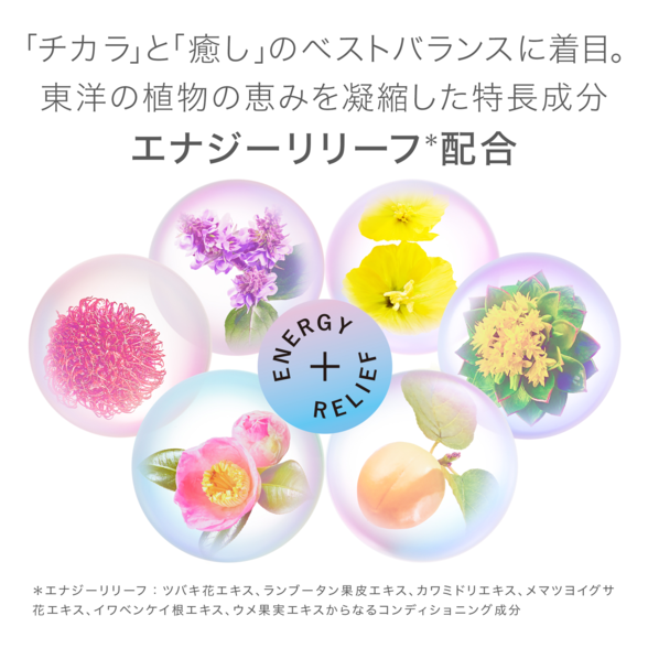 Amway - らくらくま’s shop✨ Amway - らくらくま's shop✨ キャンペーン・新製品一覧 | Light Web