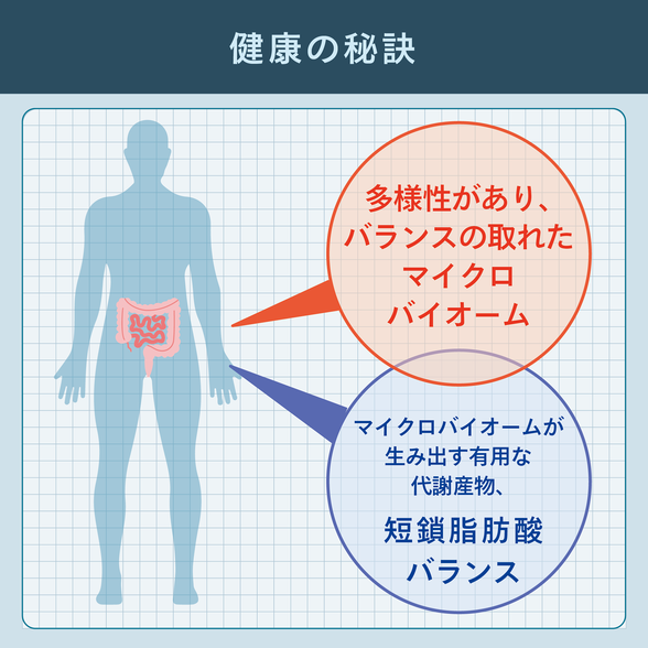 マイクロバイオーム 分析サービス) ：Amway(日本アムウェイ) | amwaylive