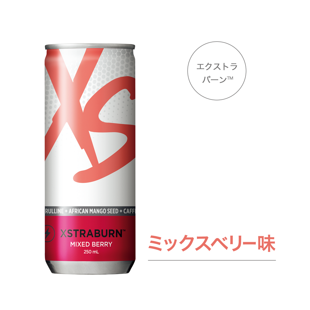 XS エナジードリンク ミックスベリー 2箱 - 酒