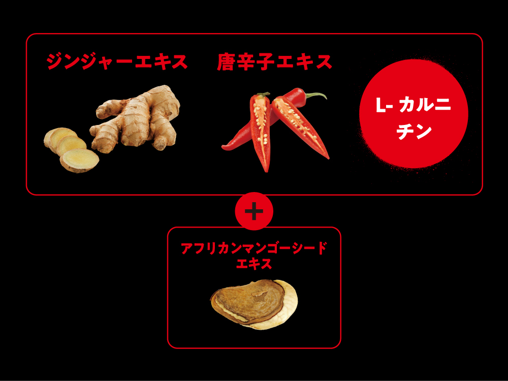 Xs エナジードリンク エクストラバーンカフェインゼロ ジンジャー 6本入り 製品詳細ページ Amway 日本アムウェイ