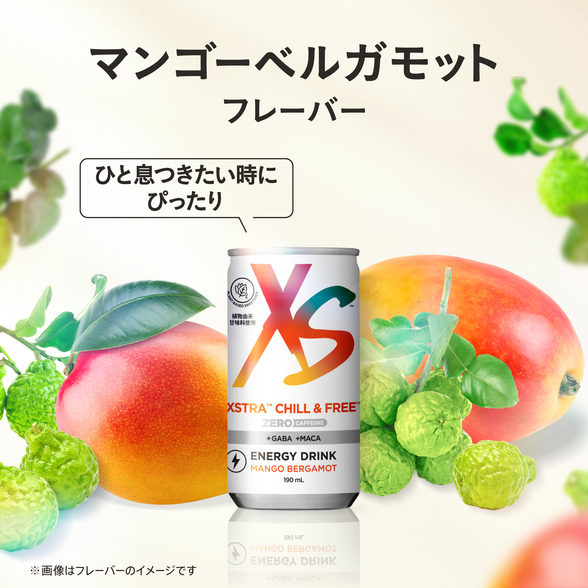 エナジードリンク エクストラ チルアンドフリー 6本) ：Amway(日本