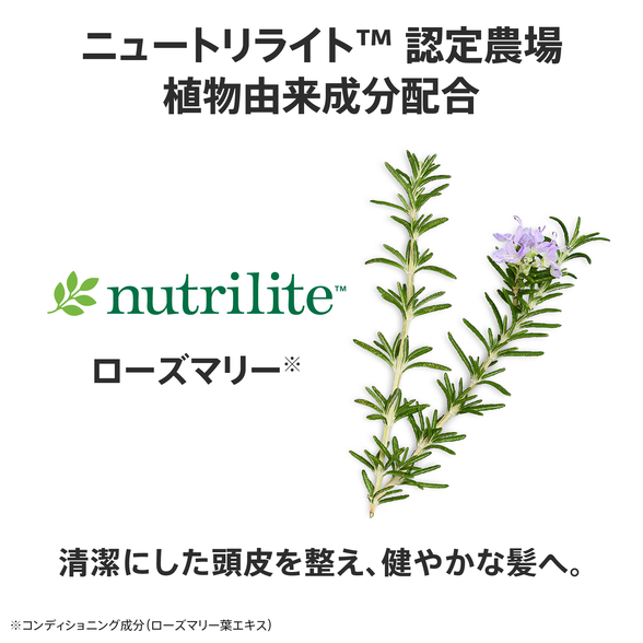 フィールクリーン ヘアコンディショナー （地肌ケア） 280mL：Amway