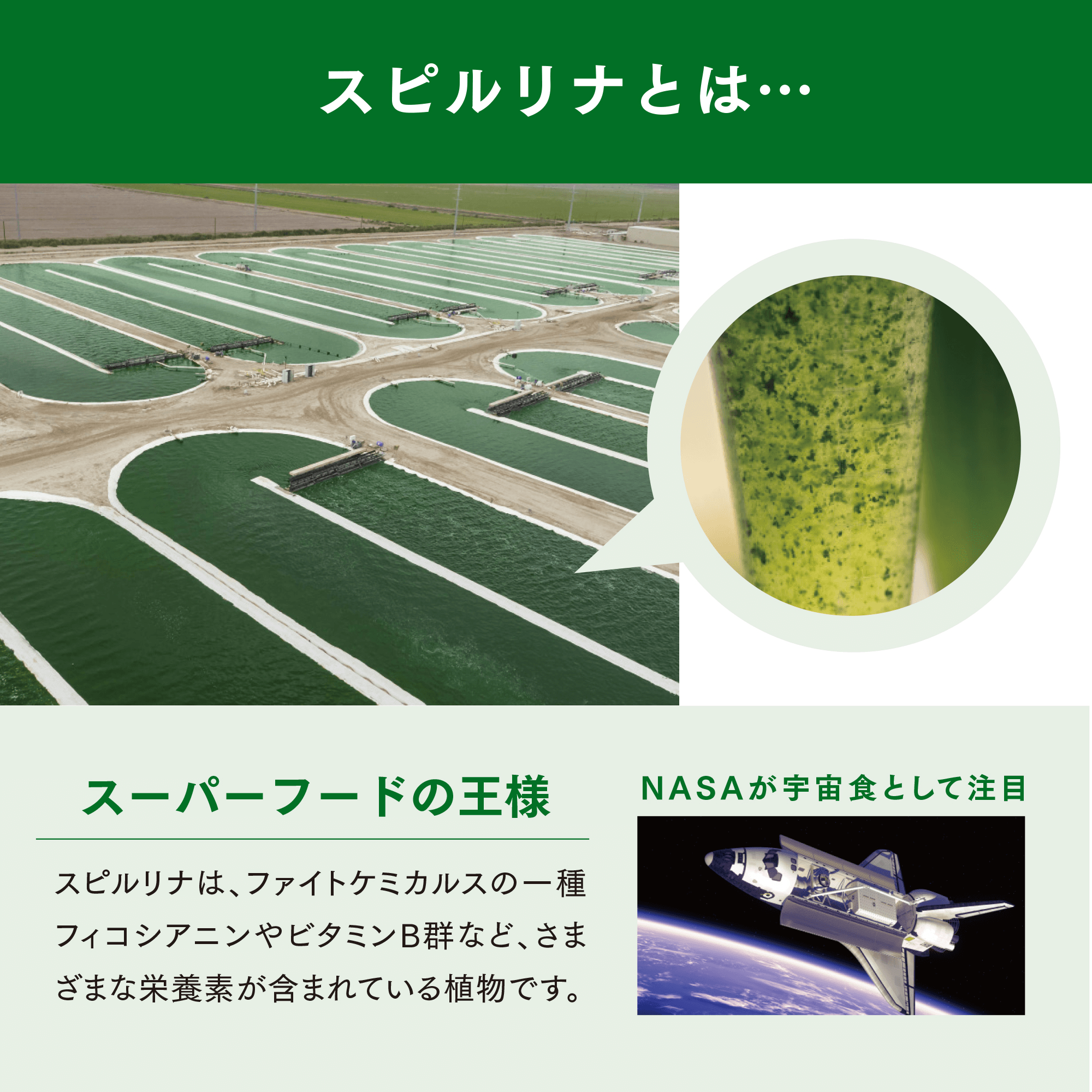 ビタミンB プラス（オールデータイプ）) ：Amway(日本アムウェイ