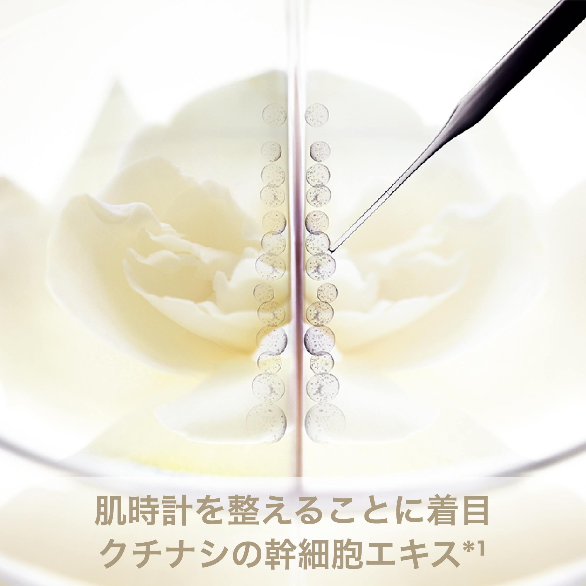 アーティストリー　シュプリーム ＬＸ クリーム新品、箱なし シュプリーム LX クリーム) ：Amway(日本アムウェイ) | amwaylive