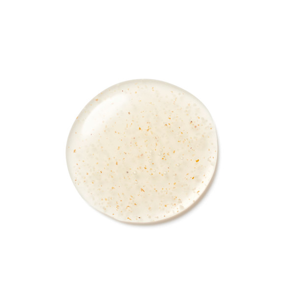 Amway - みぃ191505 Artistry Exact Fit™ Powder Foundation – Caramel – L5N1