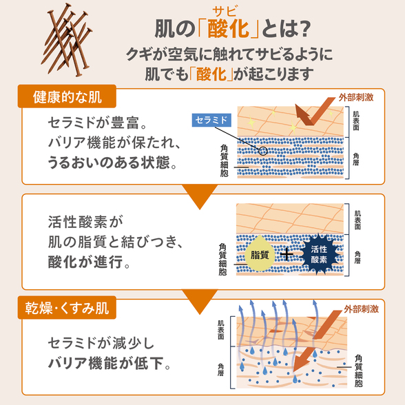 トゥルーアクア パウダードリンク) ：Amway(日本アムウェイ) | amwaylive
