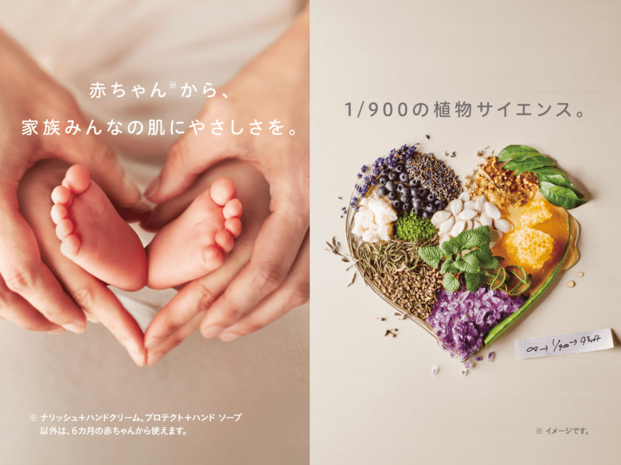 リラックス＋ バスエッセンス) ：Amway(日本アムウェイ) | amwaylive