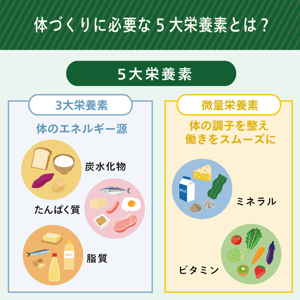 ベース3セット（ウォーカー）：Amway(アムウェイ)Shopping
