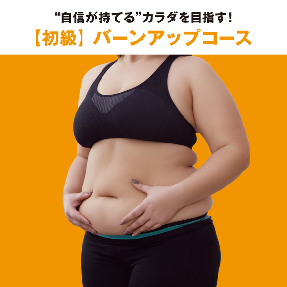 フィットネスプログラム ライトセット 初級 ガイド付き：Amway