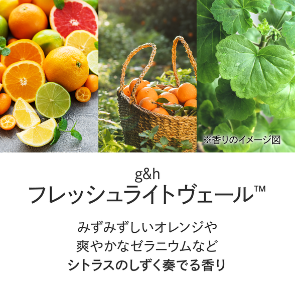 フレッシュライトヴェール ボディウォッシュ) ：Amway(日本アムウェイ