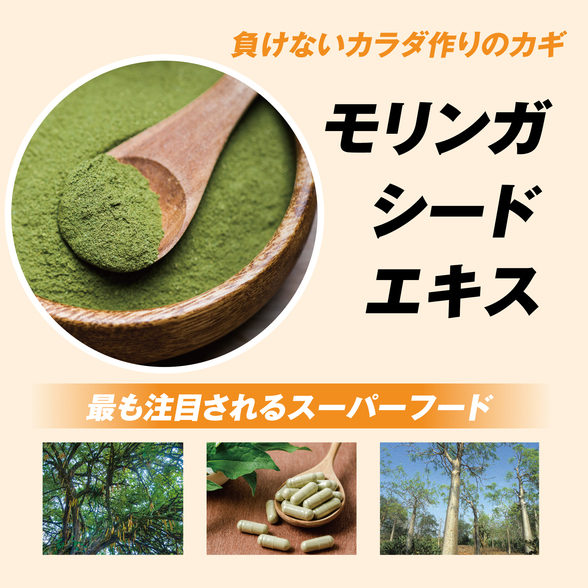 エナジードリンク エクストラ カフェインゼロ シールドエナジー24本