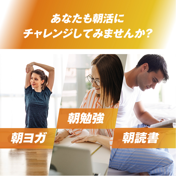 エナジードリンク エクストラ カフェインゼロ シールドエナジー24本