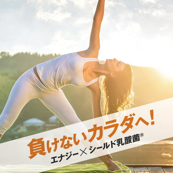 エナジードリンク エクストラ カフェインゼロ シールドエナジー24本