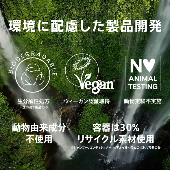 ヘアコンディショナー IN シャンプー) ：Amway(日本アムウェイ