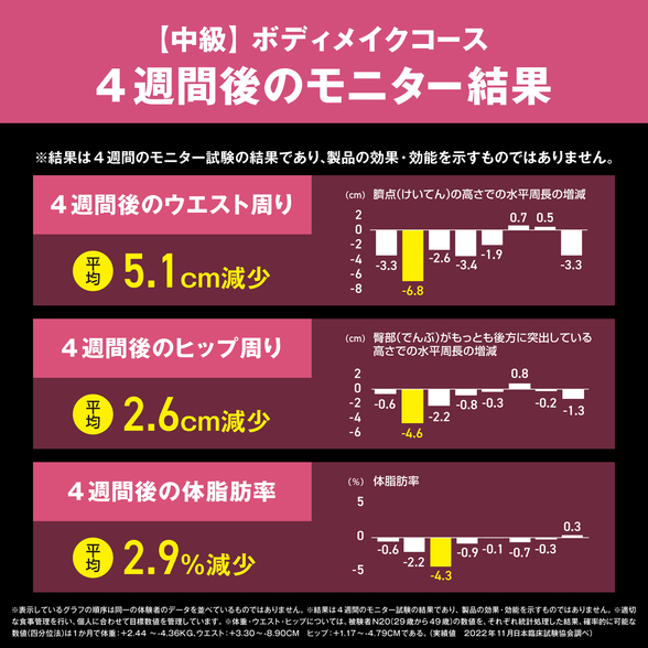 フィットネスプログラム ライトセット 中級 ワイルドベリー ガイド付き 