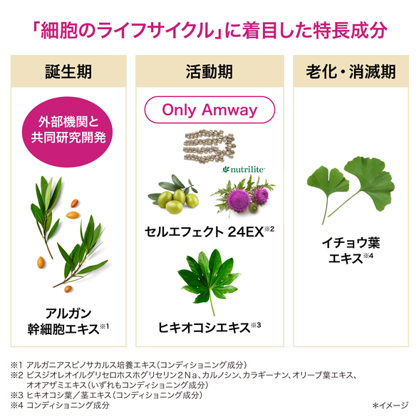 ロンジェビティ ライトクリーム レフィル：Amway(アムウェイ)Shopping