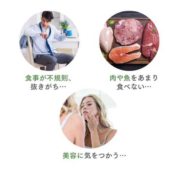 ニュートリ プロテイン （オールプラント） お徳用：Amway(アムウェイ