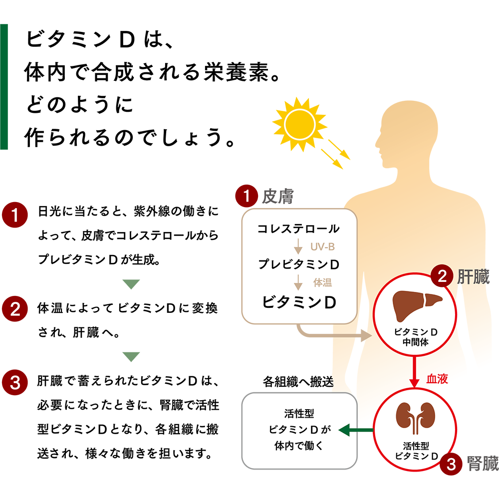 pdp_ad_118761J_02_s02_01_assets_04_img_01