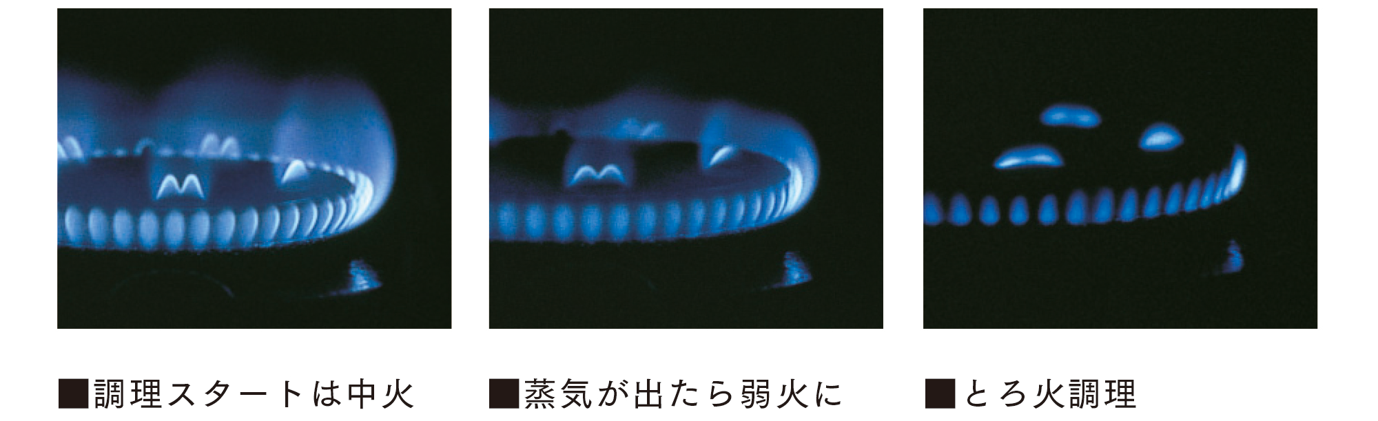 クィーン 小ソースパン) ：Amway(日本アムウェイ) | amwaylive