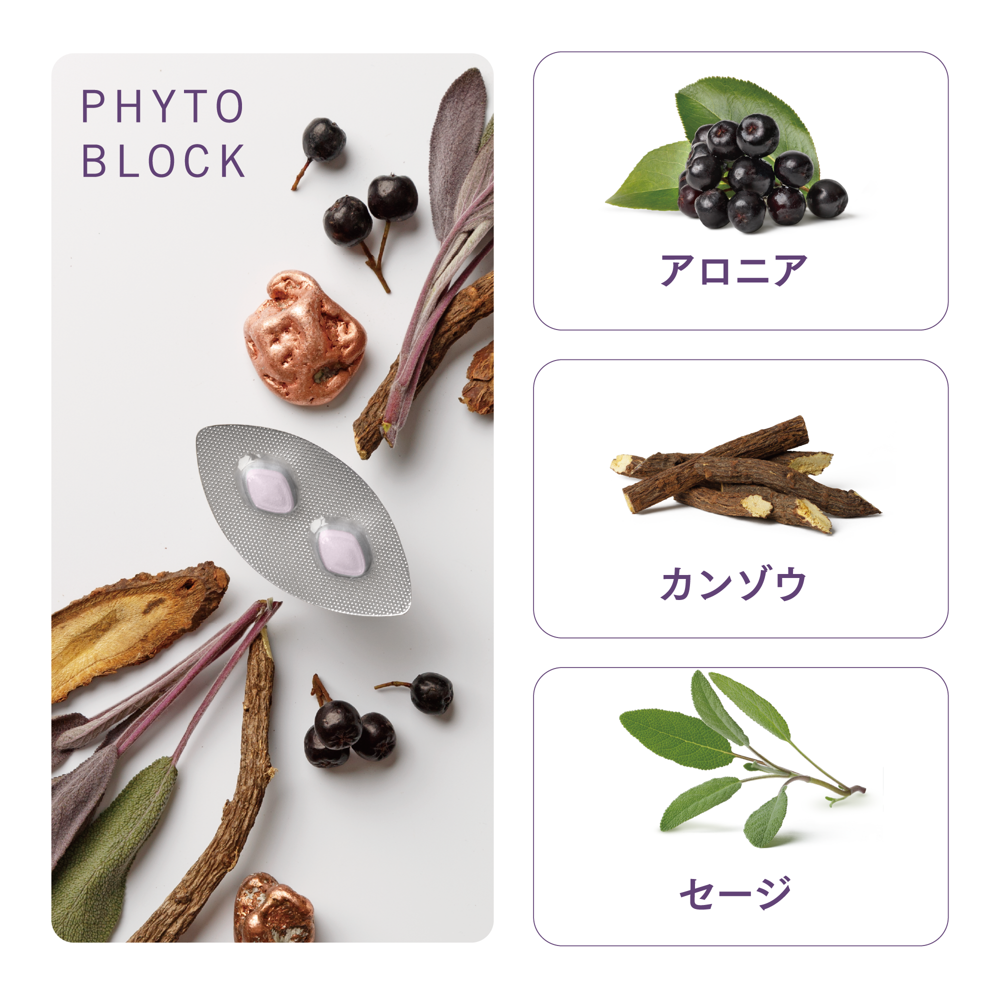 在庫あり アムウェイ TRUVIVITY by NUTRILITETM トゥルーユース サプリメント 内容量60粒  Amwaylt;brgt;賞味期限：半年以上 discoversvg.com