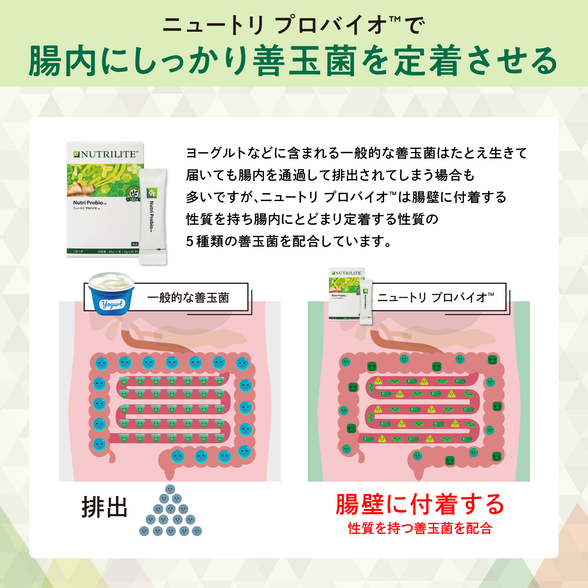 すこやか腸活プログラム オールインワン！腸活2週間キット：Amway ...