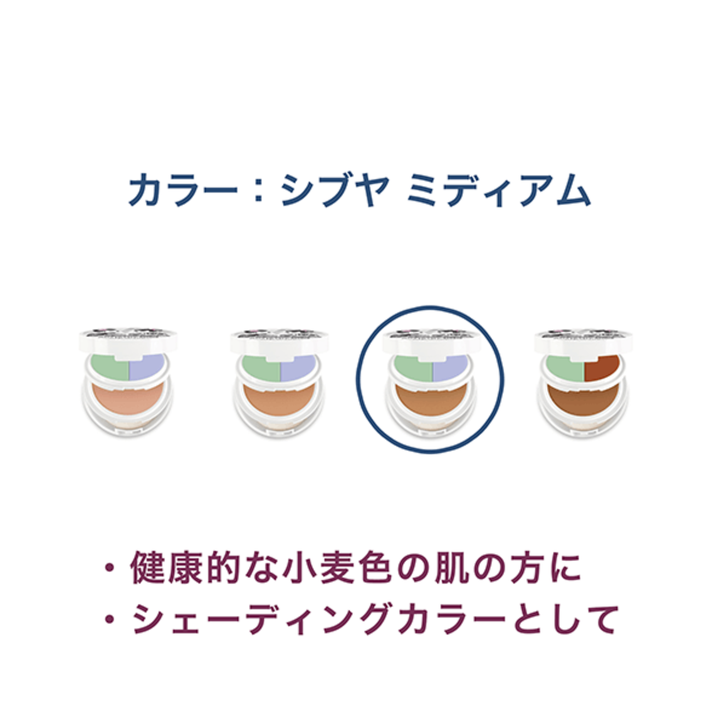 アーティストリー スタジオ 東京 エディション コレクト パーフェクト フェイス コンパクト カラー シブヤ ミディアム 製品詳細ページ Amway 日本アムウェイ