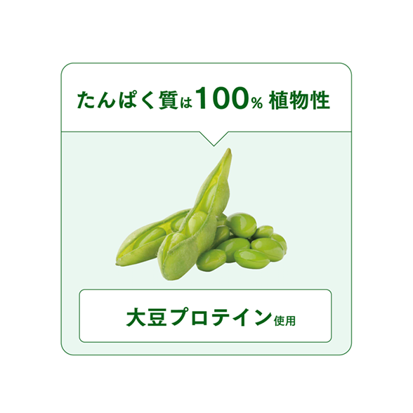 アムウェイ  プロテイン抹茶2個