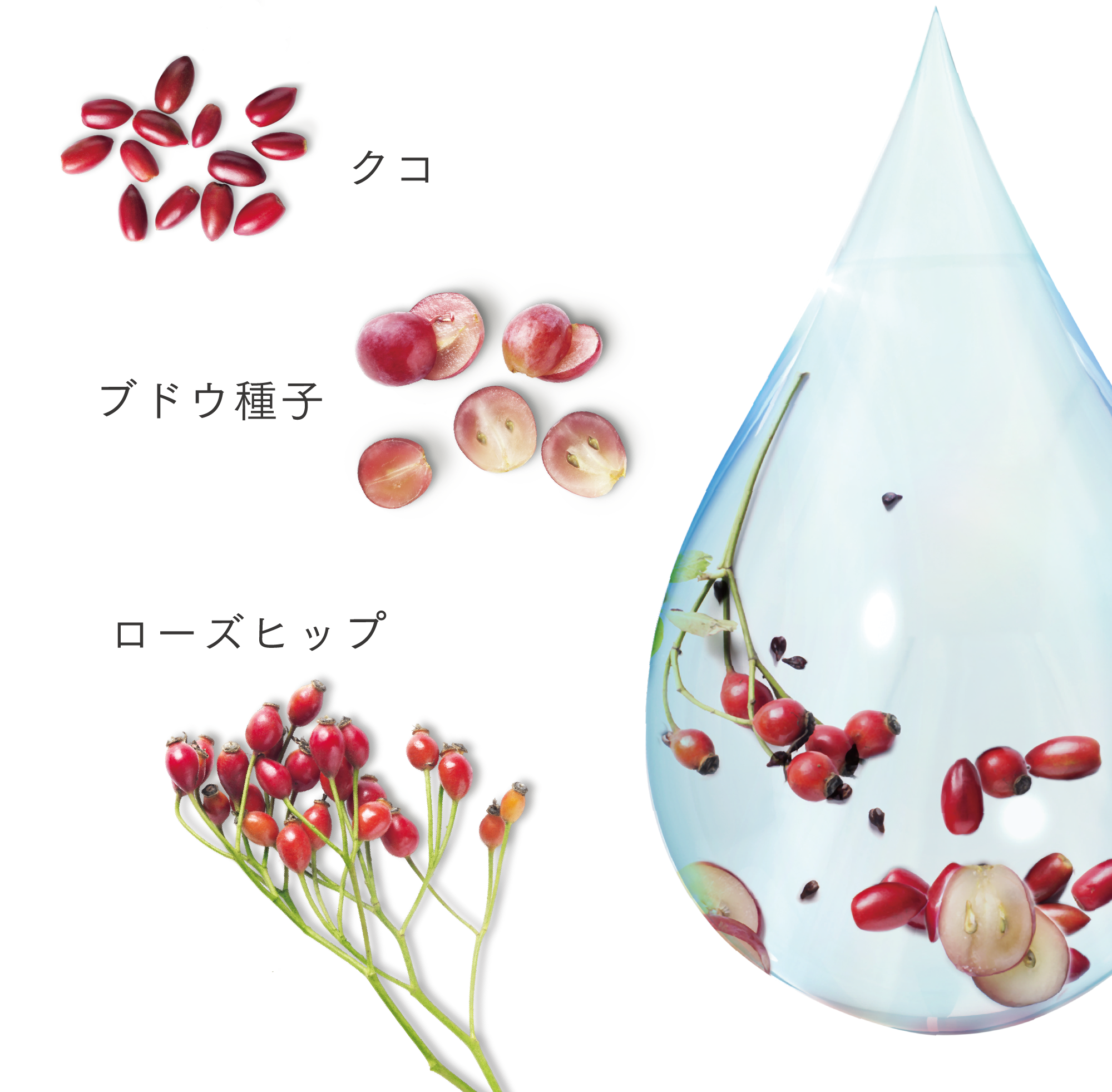 TRUVIVITYトゥルーアクア サプリメント) ：Amway(日本
