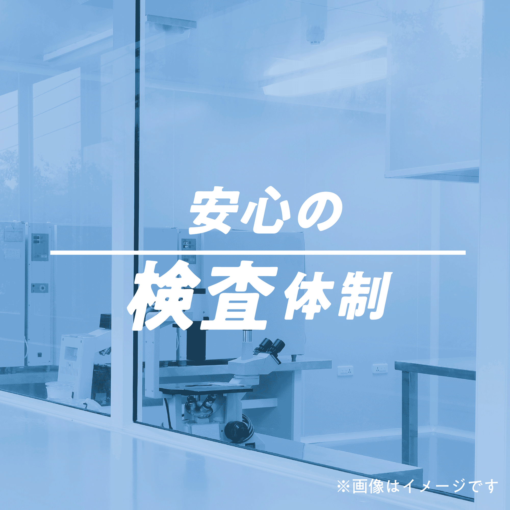 XS  CBD セット アムウェイ XS CBD セット アムウェイ