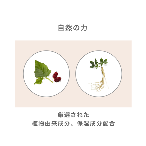 Amway  コンディショナー(スカルプ) スカルプ コンディショナー 280mL：Amway(アムウェイ)Shopping